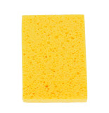 Color Expert Sponge 150*110*35mm    90310002