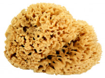 DiDonato Plastic tool for decorative paints