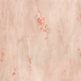 High quality non-woven wallpaper Blumarine N2 25098  0.7x10.05mt