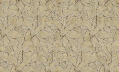 High quality non-woven wallpaper be Blumarine 28005 1.06x10.05mt