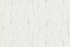 High quality non-woven wallpaper be Blumarine 28023 1.06x10.05mt