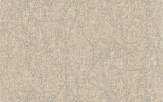 High quality non-woven wallpaper be Blumarine 28024 1.06x10.05mt