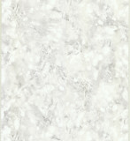 High quality non-woven wallpaper Gianfranco Ferre N2 61082  0.7x10.05mt