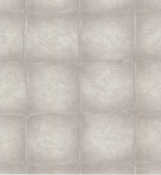 High quality non-woven wallpaper Roberto Cavalli 6 17031 0.70x10.05mt