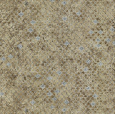 High quality non-woven wallpaper Roberto Cavalli 6 17106 0.70x10.05mt