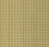 High quality non-woven wallpaper Roberto Cavalli 6 17116 0.70x10.05mt