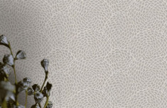 High quality non-woven wallpaper Karin Sajo KS3103 0.53x10.05mt