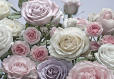 Ֆոտոպաստառ Komar 8-736 368*254սմ
