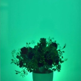 D-C-Fix self-adhesive wallpaper 200-1965 45cm*15mt