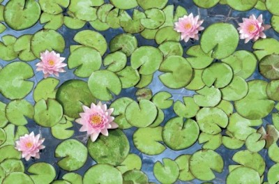 Alkor self-adhesive wallpaper 280-0001 45cm*15mt