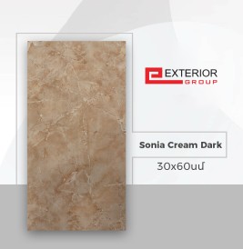 Shahkar սալիկ պատի Sonia Cream Dark 30*60 (1հ-0.18քմ) 9h